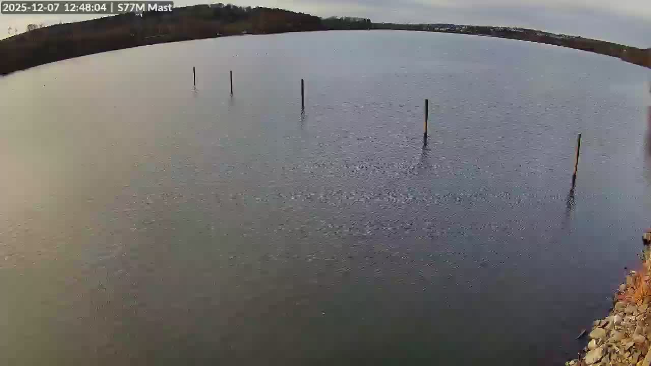Webcam Steg - Segelclub 77 Möhnesee